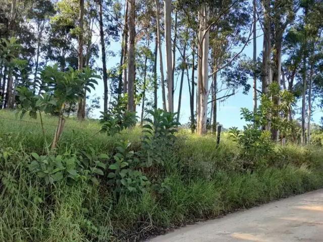 Sítio e chácara venda em Região Imediata de São José dos Campos, Região Metropolitana do Vale do Paraíba e Litoral Norte