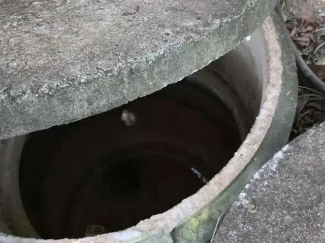 Sítio e chácara venda em Campina de Fora, Ribeirão Branco