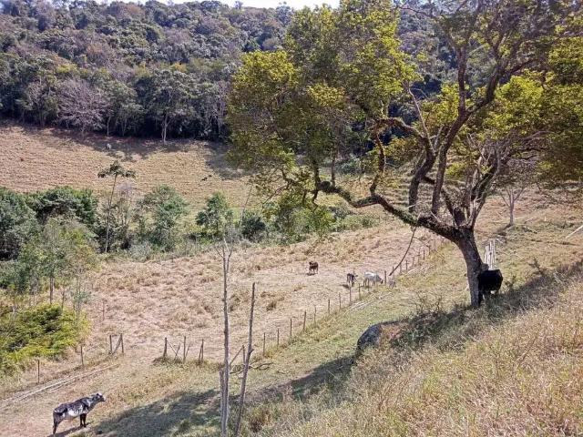 Sítio e chácara venda em Região Imediata de São José dos Campos, Região Metropolitana do Vale do Paraíba e Litoral Norte