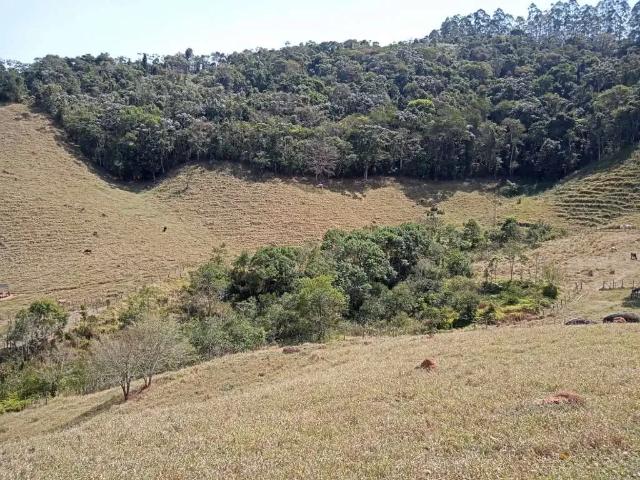 Sítio e chácara venda em São José dos Campos