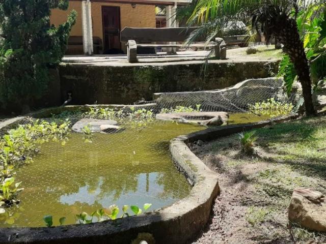 Sítio e chácara venda em Região Imediata de São José dos Campos, Região Metropolitana do Vale do Paraíba e Litoral Norte