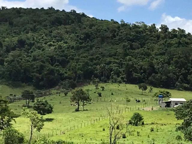 Sítio e chácara venda em Região Imediata de São José dos Campos, Região Metropolitana do Vale do Paraíba e Litoral Norte