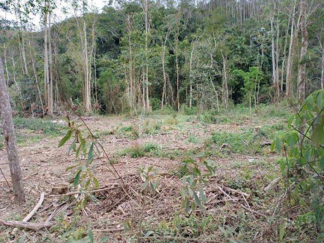 Sítio e chácara venda em Parque Residencial Cocaia Cantinho do Céu, São Paulo