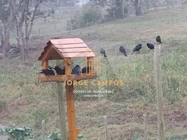 Sítio e chácara venda em Região Imediata de São José dos Campos, Região Metropolitana do Vale do Paraíba e Litoral Norte