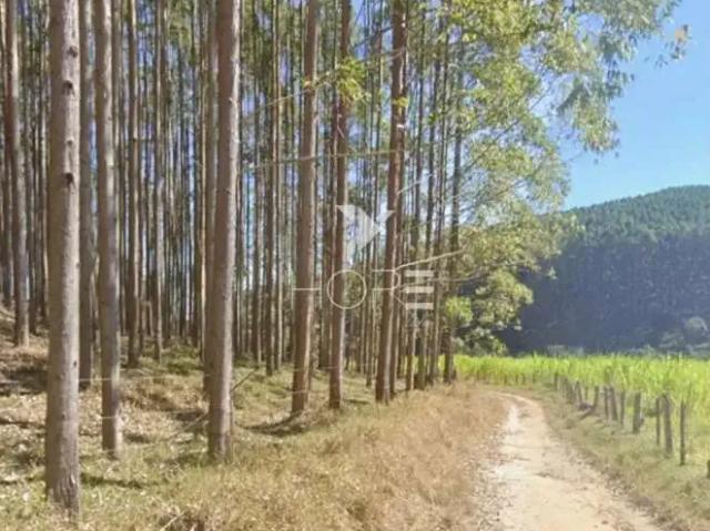 Sítio e chácara venda em Região Imediata de São José dos Campos, Região Metropolitana do Vale do Paraíba e Litoral Norte