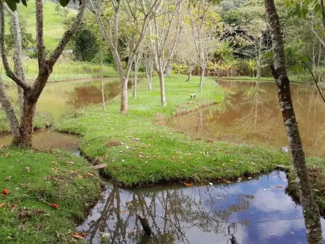 Sítio e chácara venda em Região Imediata de São José dos Campos, Região Metropolitana do Vale do Paraíba e Litoral Norte