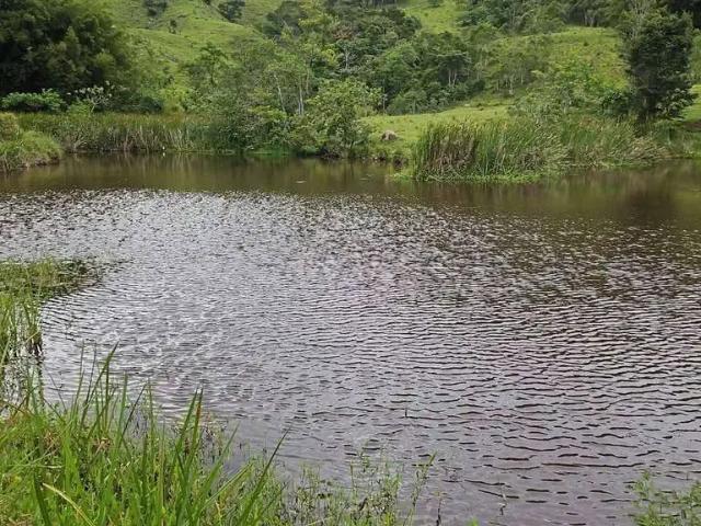 Sítio e chácara venda em Região Imediata de São José dos Campos, Região Metropolitana do Vale do Paraíba e Litoral Norte