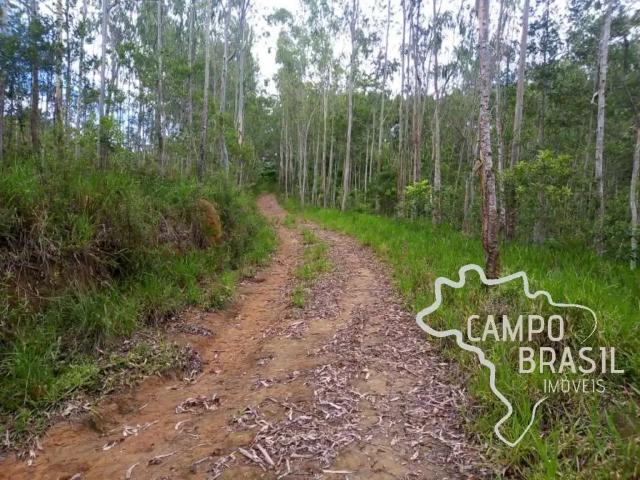 Sítio e chácara venda em Região Imediata de São José dos Campos, Região Metropolitana do Vale do Paraíba e Litoral Norte