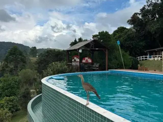Sítio e chácara venda em Região Imediata de São José dos Campos, Região Metropolitana do Vale do Paraíba e Litoral Norte