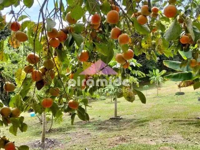 Sítio e chácara venda em Região Imediata de São José dos Campos, Região Metropolitana do Vale do Paraíba e Litoral Norte