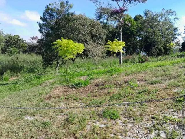 Sítio e chácara venda em Região Imediata de São José dos Campos, Região Metropolitana do Vale do Paraíba e Litoral Norte