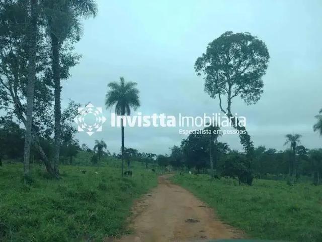 Sítio e chácara venda em Região Geográfica Imediata de Paraíso do Tocantins, Paraíso do Tocantins