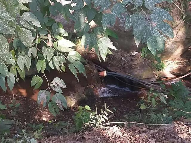 Sítio e chácara venda em Região Geográfica Imediata de Itajubá, Paraisópolis