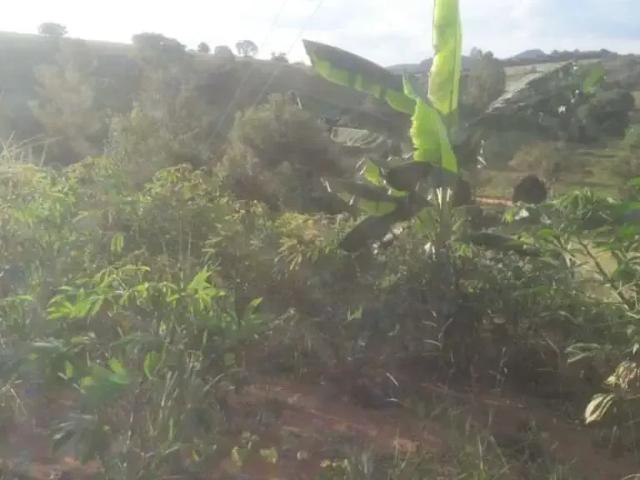 Sítio e chácara venda em Região Geográfica Imediata de Itajubá, Paraisópolis