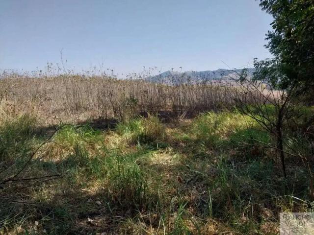 Sítio e chácara venda em Região Geográfica Imediata de Itajubá, Paraisópolis