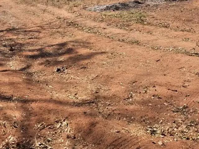 Sítio e chácara venda em Região Imediata de Catanduva, Paraíso