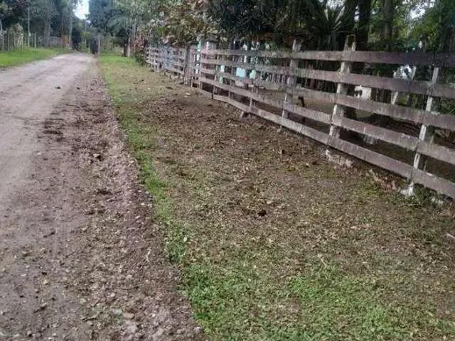 Sítio e chácara venda em Região Geográfica Imediata de Paranaguá, Paranaguá