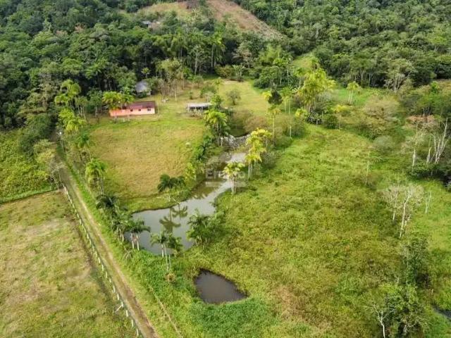 Sítio e chácara venda em Paranaguá, Região Geográfica Intermediária de Curitiba