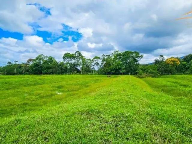 Sítio e chácara venda em Região Geográfica Imediata de Paranaguá, Paranaguá
