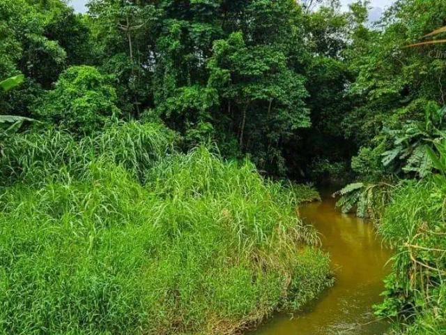 Sítio e chácara venda em Região Geográfica Imediata de Paranaguá, Paranaguá