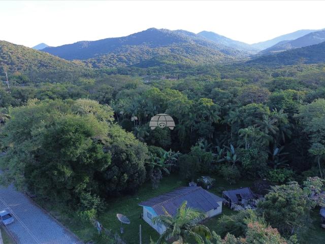 Sítio e chácara venda em Paranaguá, Região Geográfica Intermediária de Curitiba
