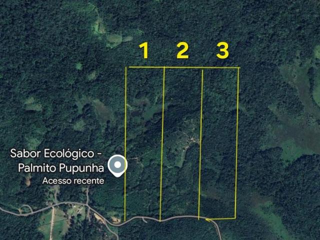 Sítio e chácara venda em Paranaguá, Região Geográfica Intermediária de Curitiba