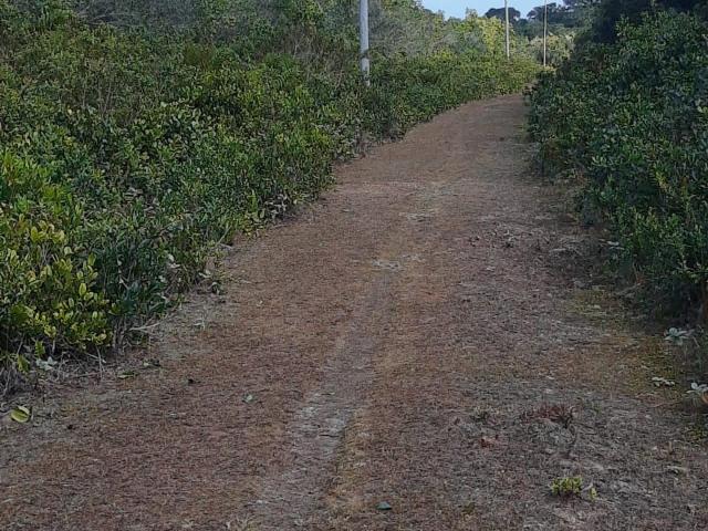 Sítio e chácara venda em Região Geográfica Imediata de Paranaguá, Paranaguá