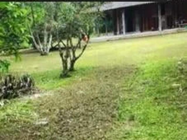 Sítio e chácara venda em Valadares, Paranaguá