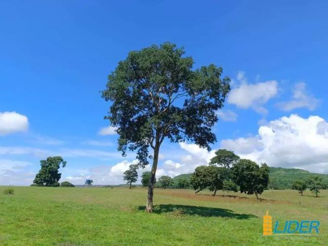 Sítio e chácara venda em Região Geográfica Imediata de Quirinópolis, Paranaiguara
