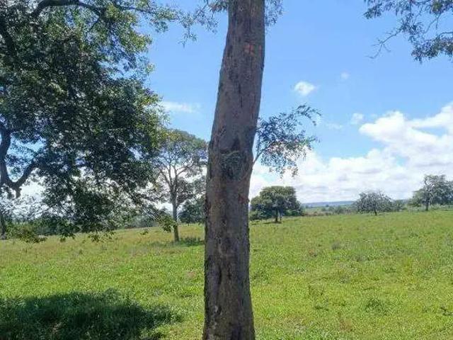 Sítio e chácara venda em Região Geográfica Imediata de Quirinópolis, Paranaiguara