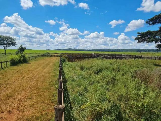 Sítio e chácara venda em Região Geográfica Imediata de Quirinópolis, Paranaiguara
