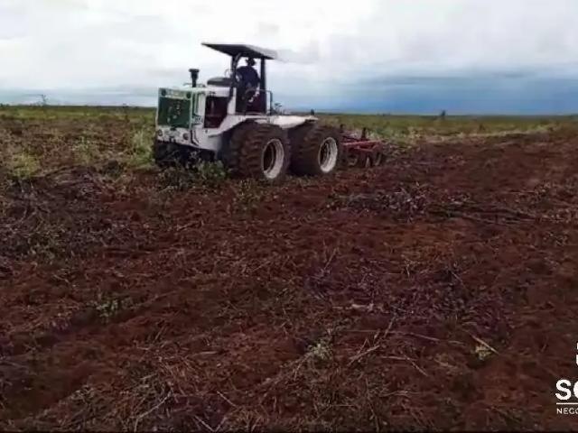 Sítio e chácara venda em Região Geográfica Imediata de Primavera do Leste, Paranatinga