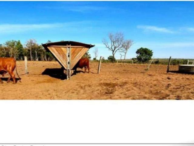Sítio e chácara venda em Paranatinga, Região Geográfica Intermediária de Rondonópolis
