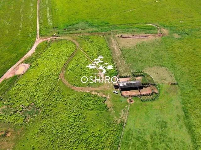Sítio e chácara venda em Região Geográfica Imediata de Primavera do Leste, Paranatinga
