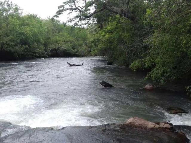 Sítio e chácara venda em Paranatinga, Região Geográfica Intermediária de Rondonópolis