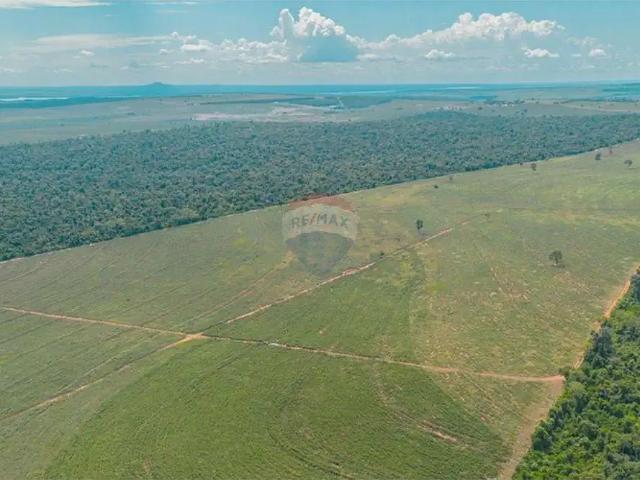 Sítio e chácara venda em Região Geográfica Imediata de Paranavaí, Paranavaí