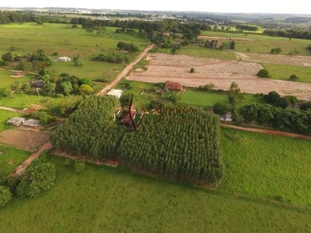 Sítio e chácara venda em Região Geográfica Imediata de Paranavaí, Paranavaí