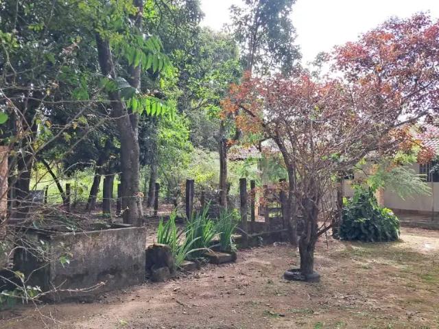 Sítio e chácara venda em Região Geográfica Imediata do Distrito Federal, Região Integrada de Desenvolvimento do Distrito Federal e Entorno