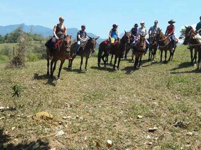 Sítio e chácara venda em Paraty