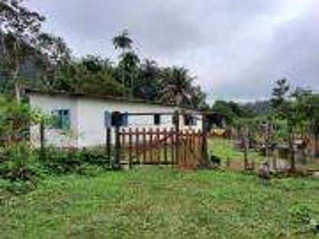 Sítio e chácara venda em Paraty