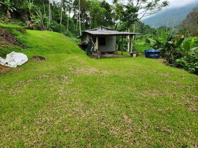 Sítio e chácara venda em Região Geográfica Imediata de Angra dos Reis, Paraty