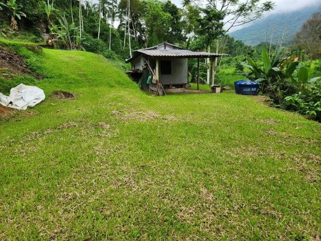 Sítio e chácara venda em Região Geográfica Imediata de Angra dos Reis, Paraty