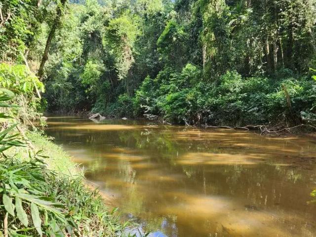 Sítio e chácara venda em Região Geográfica Imediata de Angra dos Reis, Paraty