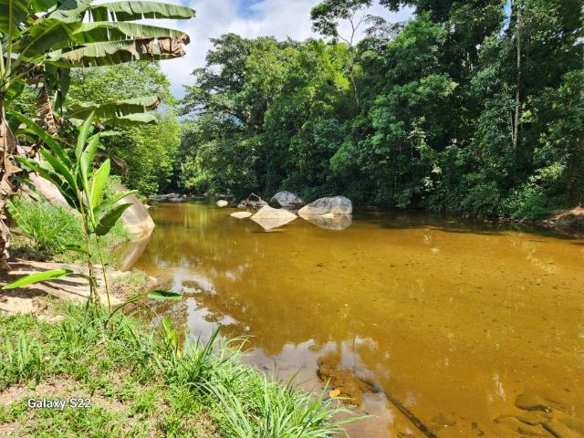 Sítio e chácara venda em Paraty