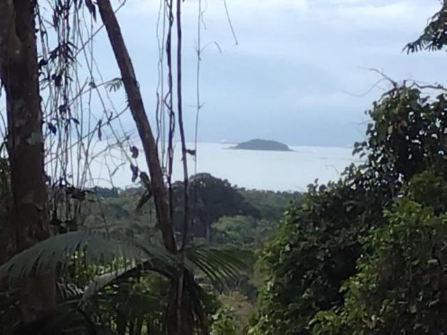 Sítio e chácara venda em Paraty