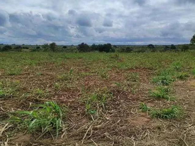 Sítio e chácara venda em Parazinho, Região Nordeste