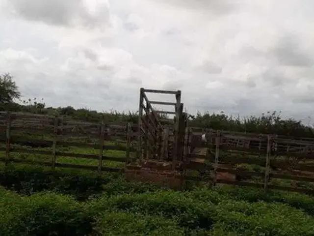 Sítio e chácara venda em Parazinho, Região Nordeste