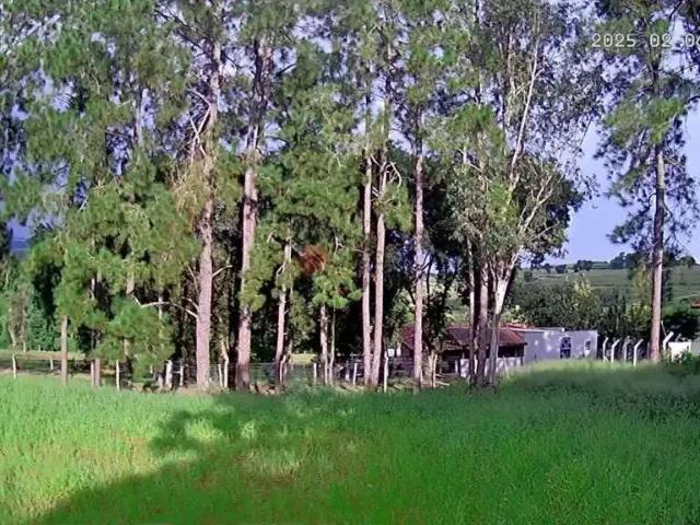 Sítio e chácara venda em Região Imediata de Botucatu, Pardinho