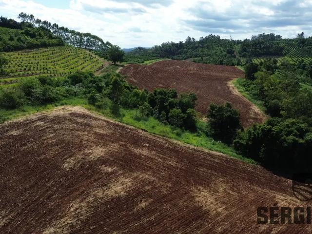 Sítio e chácara venda em Região Geográfica Imediata de Montenegro, Pareci Novo