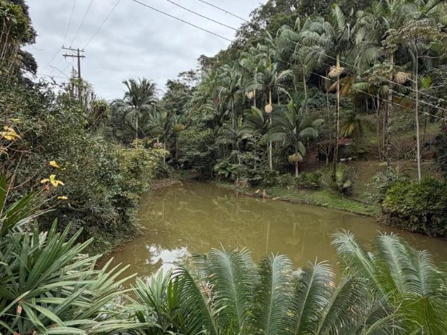 Sítio e chácara venda em Pariquera-Açu